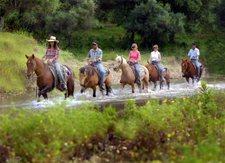 Spain-Southern Spain-Hacienda Buena Suerte